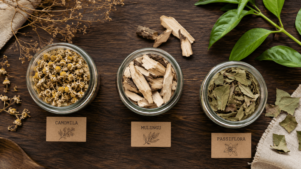 Ingredientes naturais e ervas secas de camomila para preparo de chá calmante noturno.